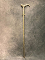 Luxury Walking Stick