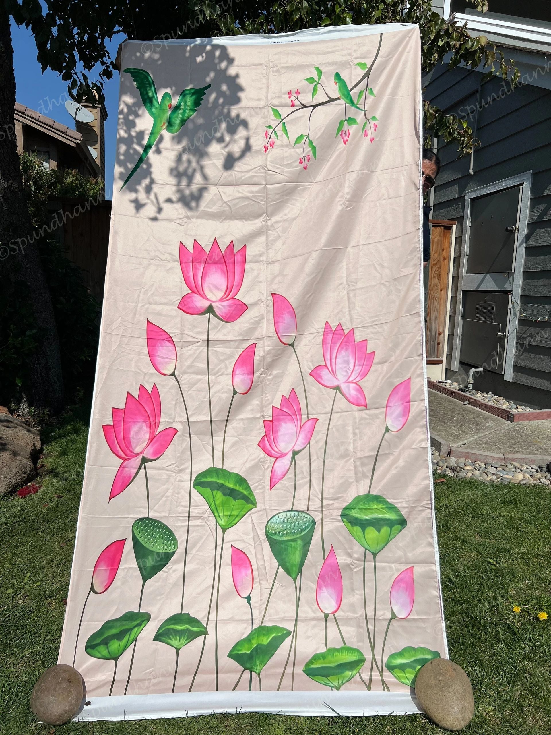 Cloth Backdrops #2