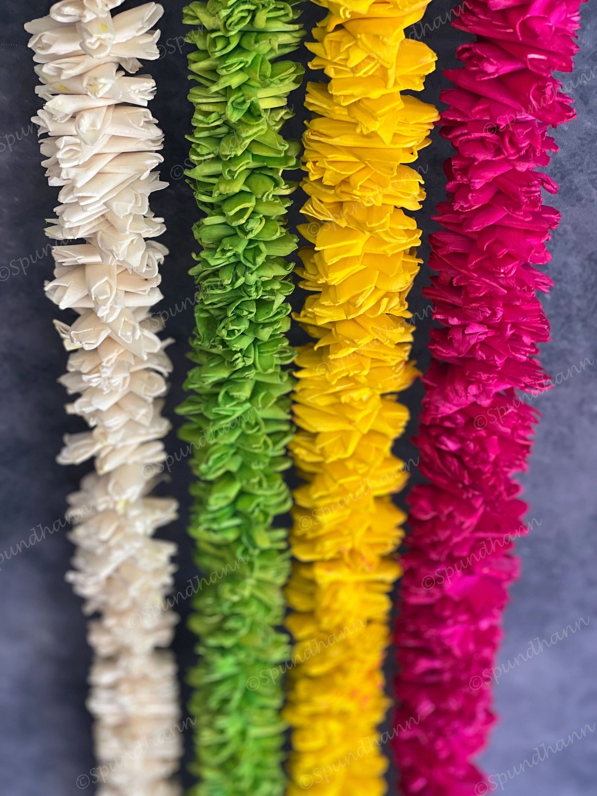 Shola Wood Eco Friendly String