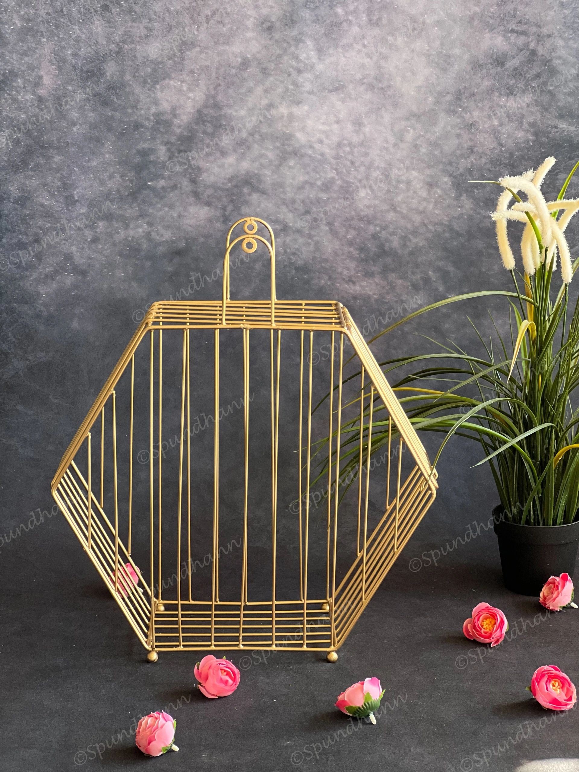 Golden Wire Hexagon Hanging Decor