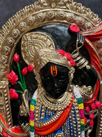 Thoraga Krishnar