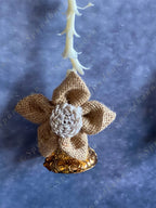 Jute Flower & Rajnigandha Tassel Strings Dangler