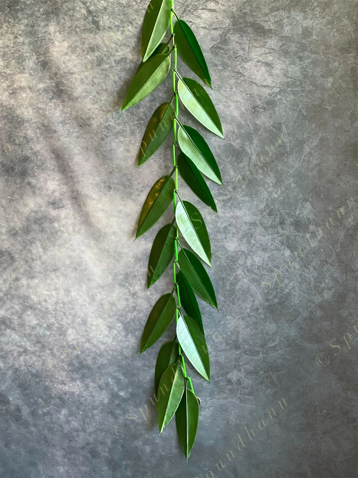 Green Leaves Hanging Decor Toran (Mango Leaf)