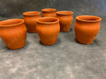 Kulhad Chai Tea Cups Set of 6