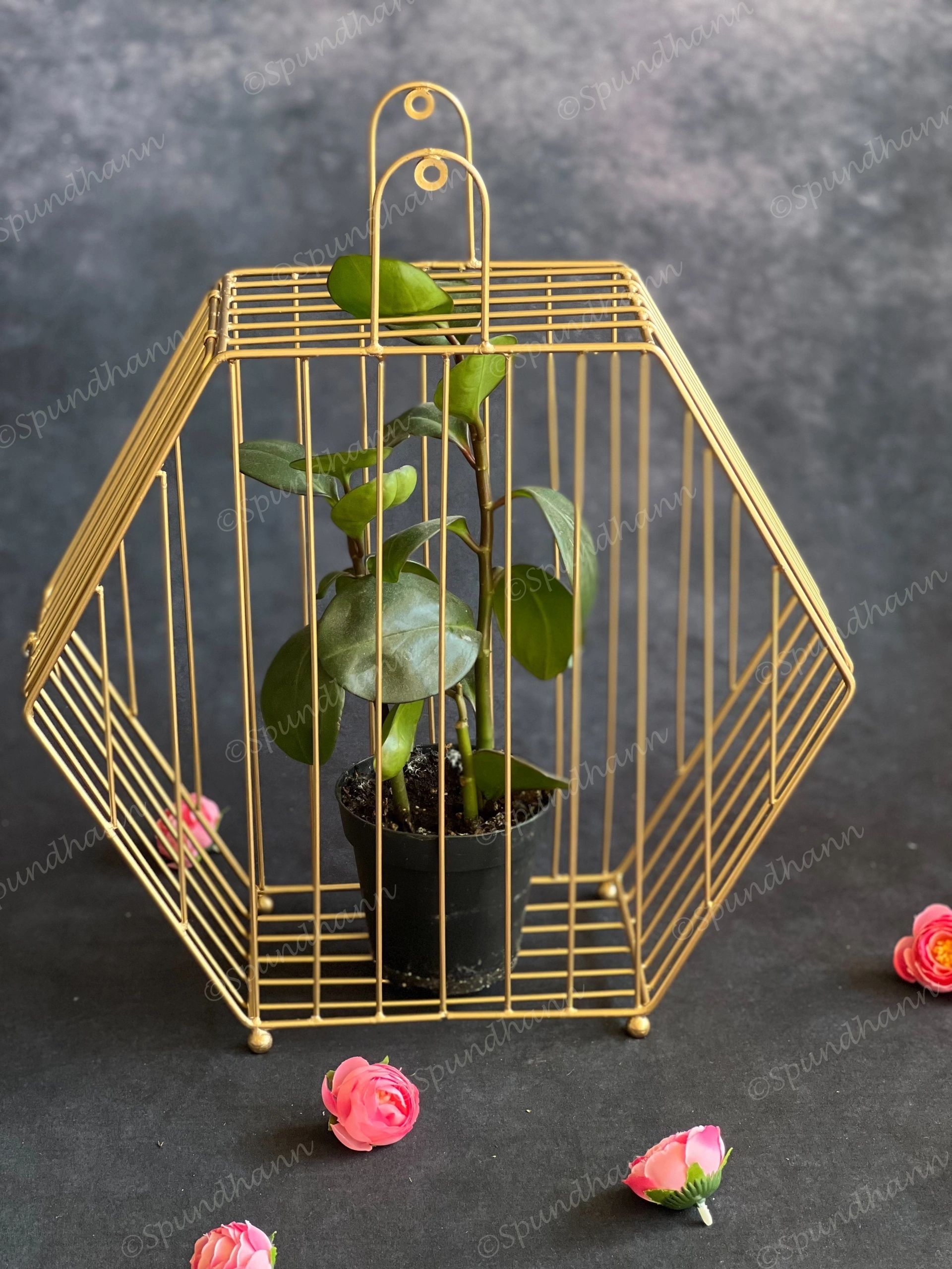 Golden Wire Hexagon Hanging Decor