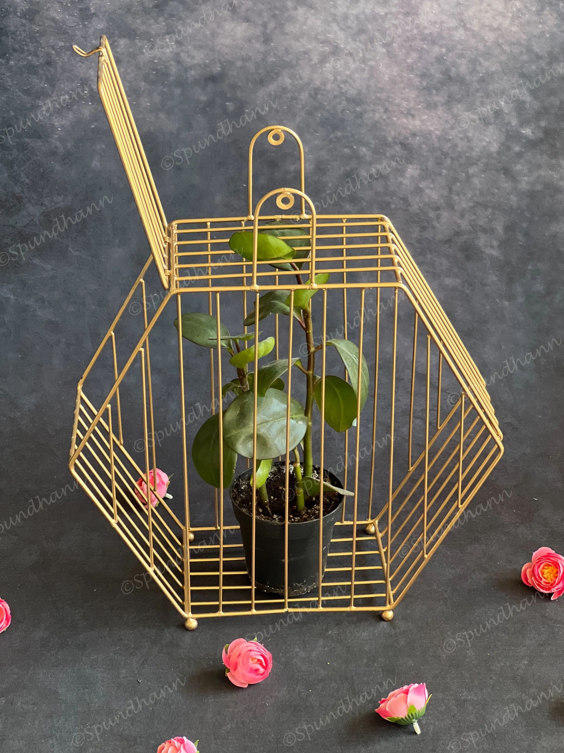 Golden Wire Hexagon Hanging Decor