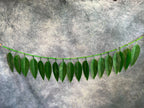 Green Leaves Hanging Decor Toran (Mango Leaf)