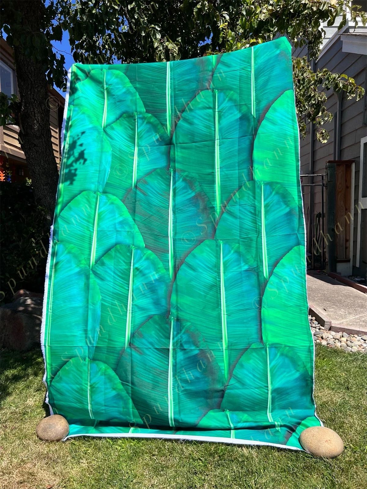 Cloth Backdrops