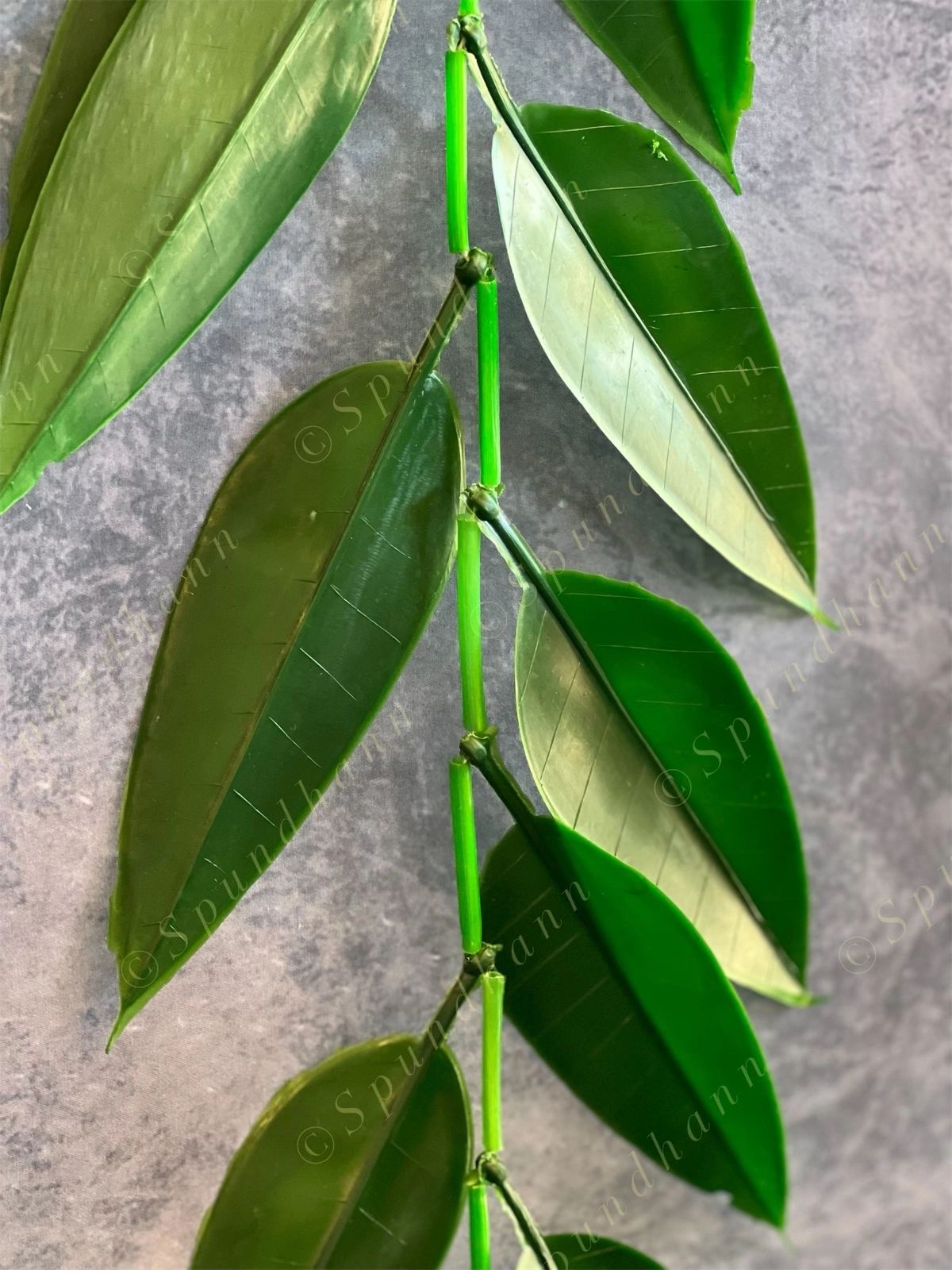 Green Leaves Hanging Decor Toran (Mango Leaf)