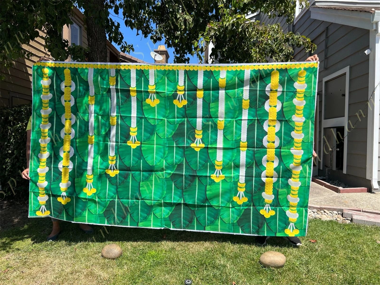 Cloth Backdrops