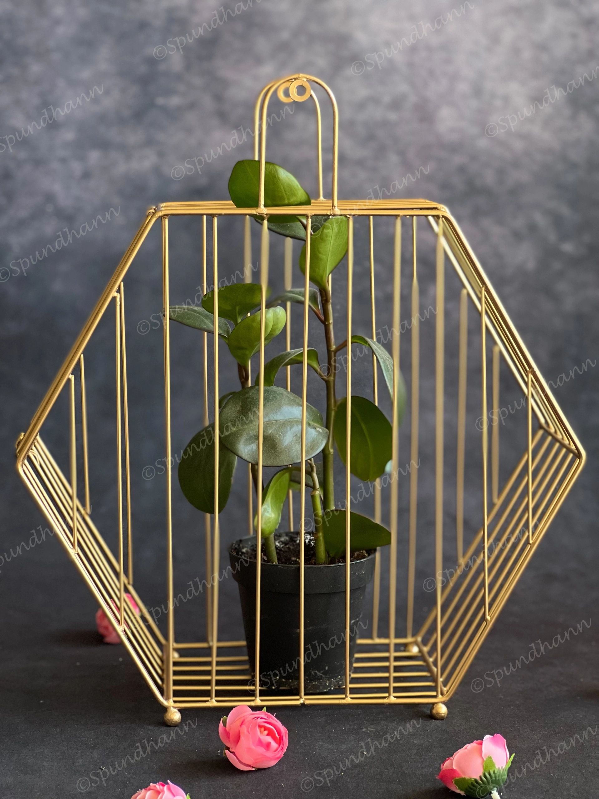 Golden Wire Hexagon Hanging Decor