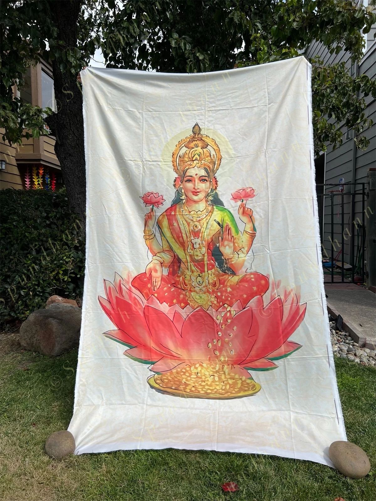 Cloth Backdrops