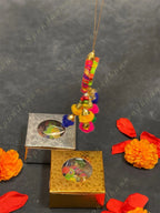 Square Paper Box with Parrot Car Dangler