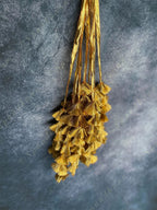 Gold Gota Strings Wall Hanging Decor