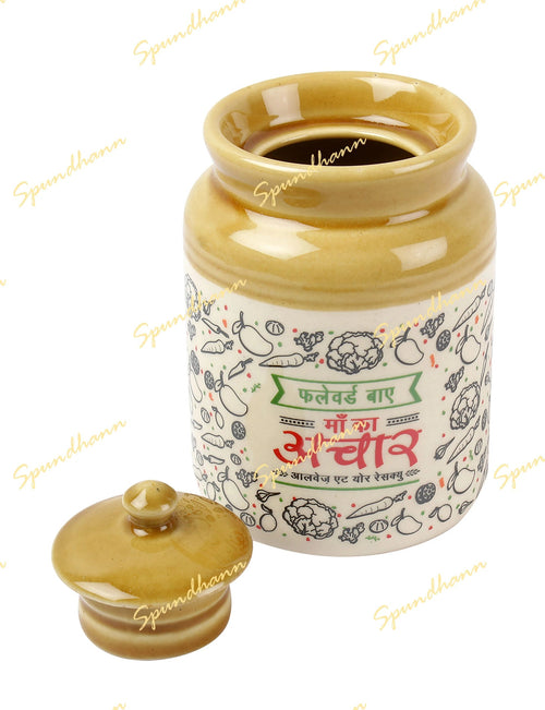 Classic Aachar Burni (650ML)