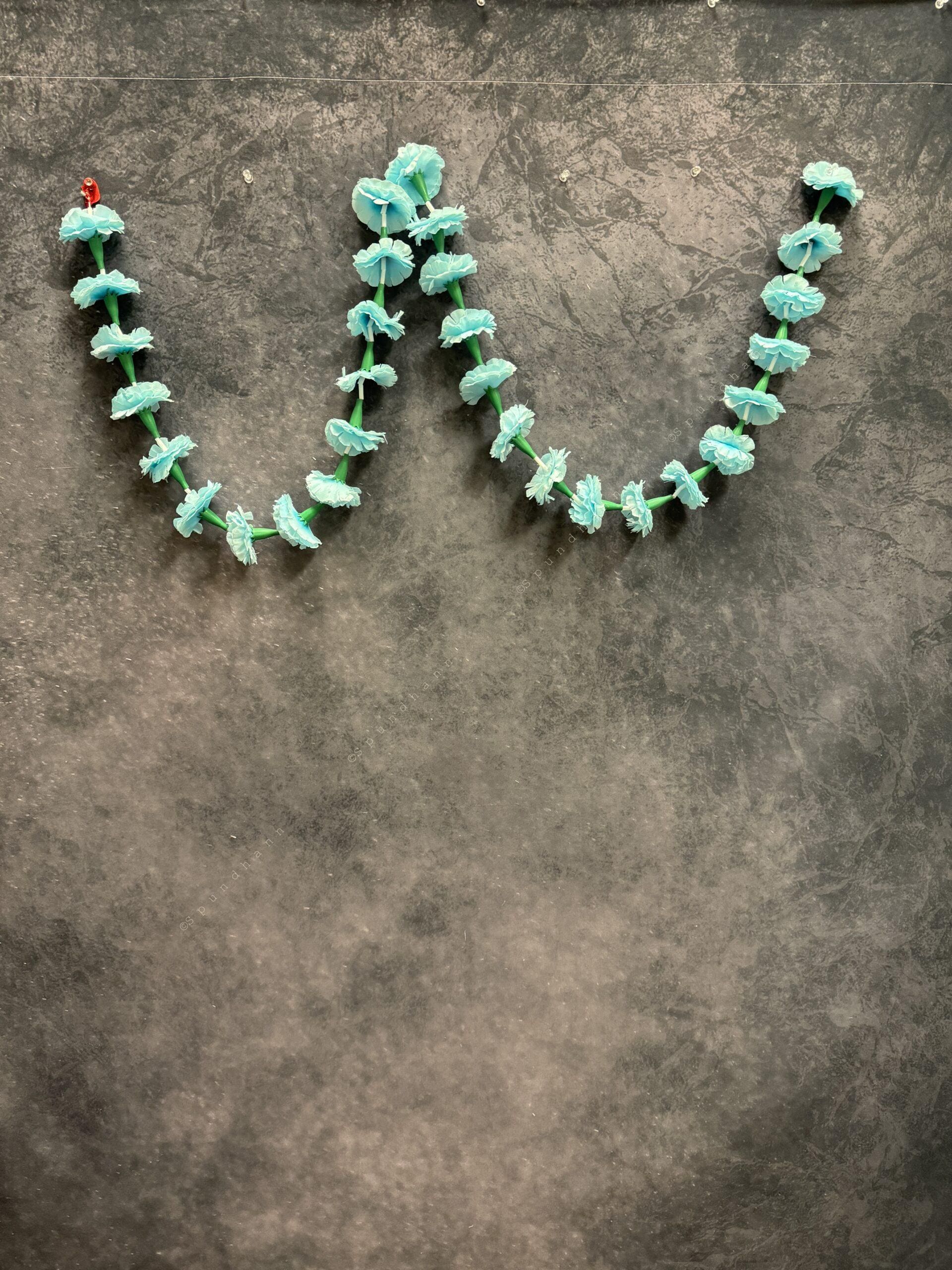 Carnation Flower String