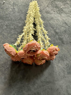 Rose bud and Rajnigandha String Bunch
