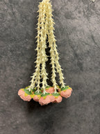 Rose bud and Rajnigandha String Bunch