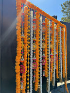 Chakri and Marigold Festive Bundle