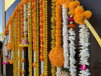 Bell and Marigold Yellow and Orange lively Bundle