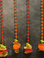 Pom Pom Dangler and Parrot Pair