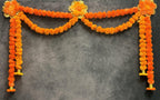 Marigold Mango and Orange with Gota Toran
