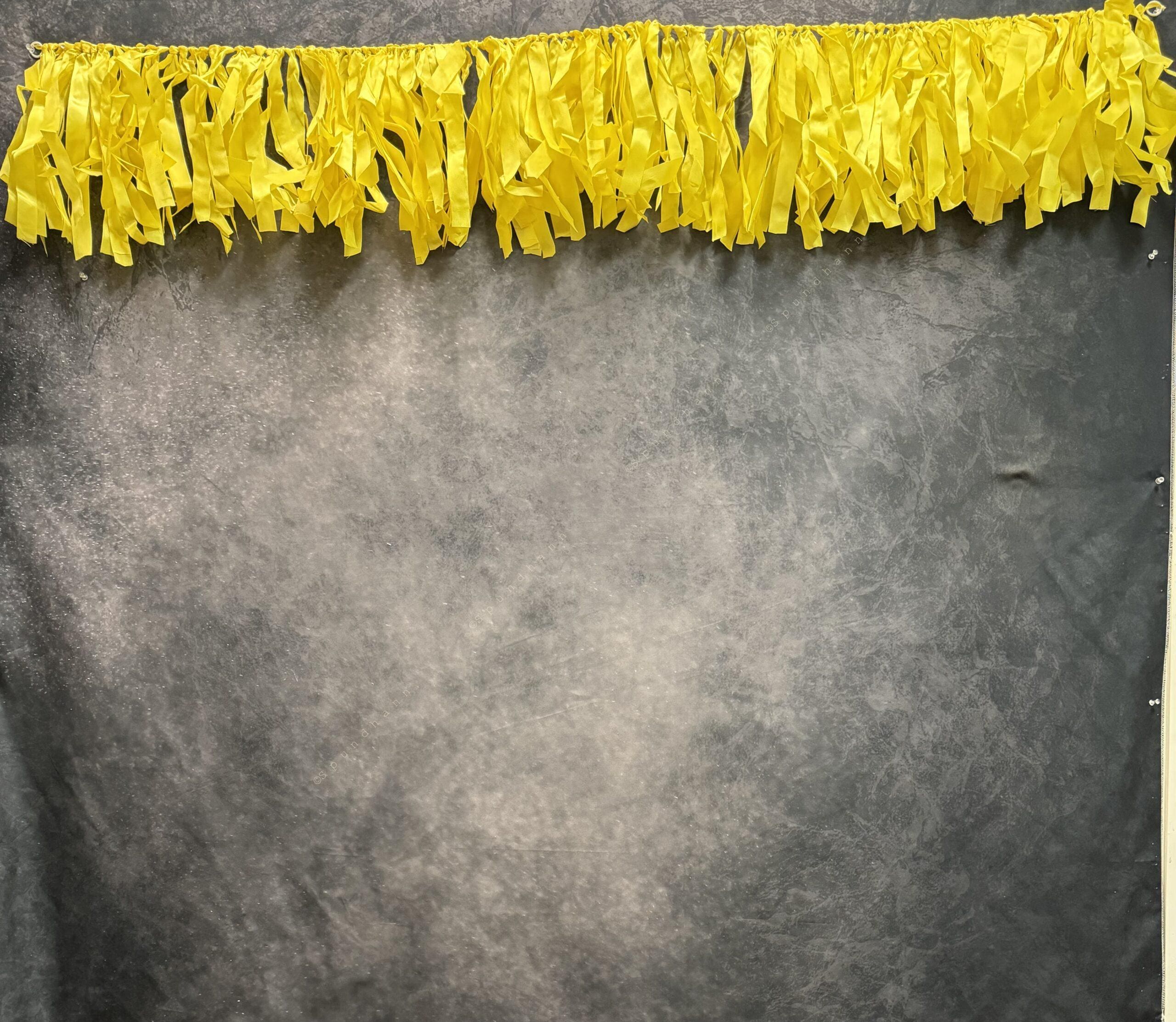Solid Color Ribbon Style Toran