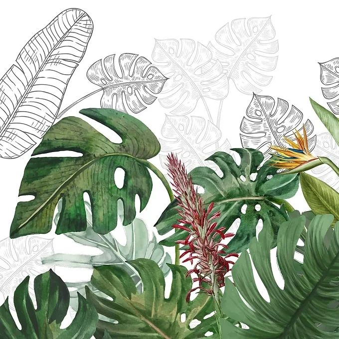 Life n Colors: Charm, Nature Theme Based Tropical Wallpaper