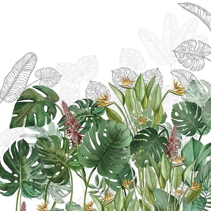 Life n Colors: Charm, Nature Theme Based Tropical Wallpaper