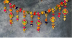 Colorful Parrot Toran