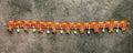 Patola Toran With Pearl Tassel