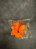 Loose flower (packet)