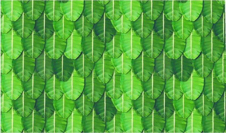Cloth Floral Backdrops #2