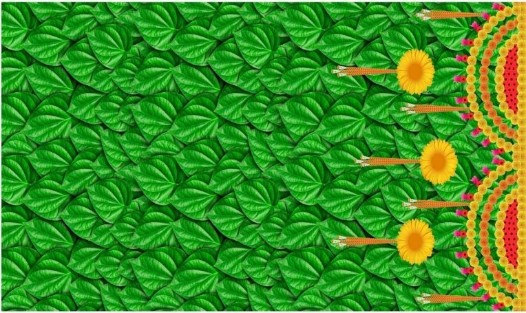 Cloth Floral Backdrops #2