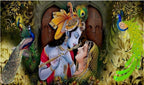 Cloth krishna Backdrops