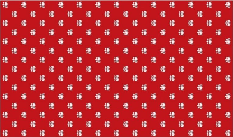 Cloth Floral Backdrops #1
