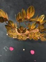 Golden Bloom Metal Table Décor - Image 2